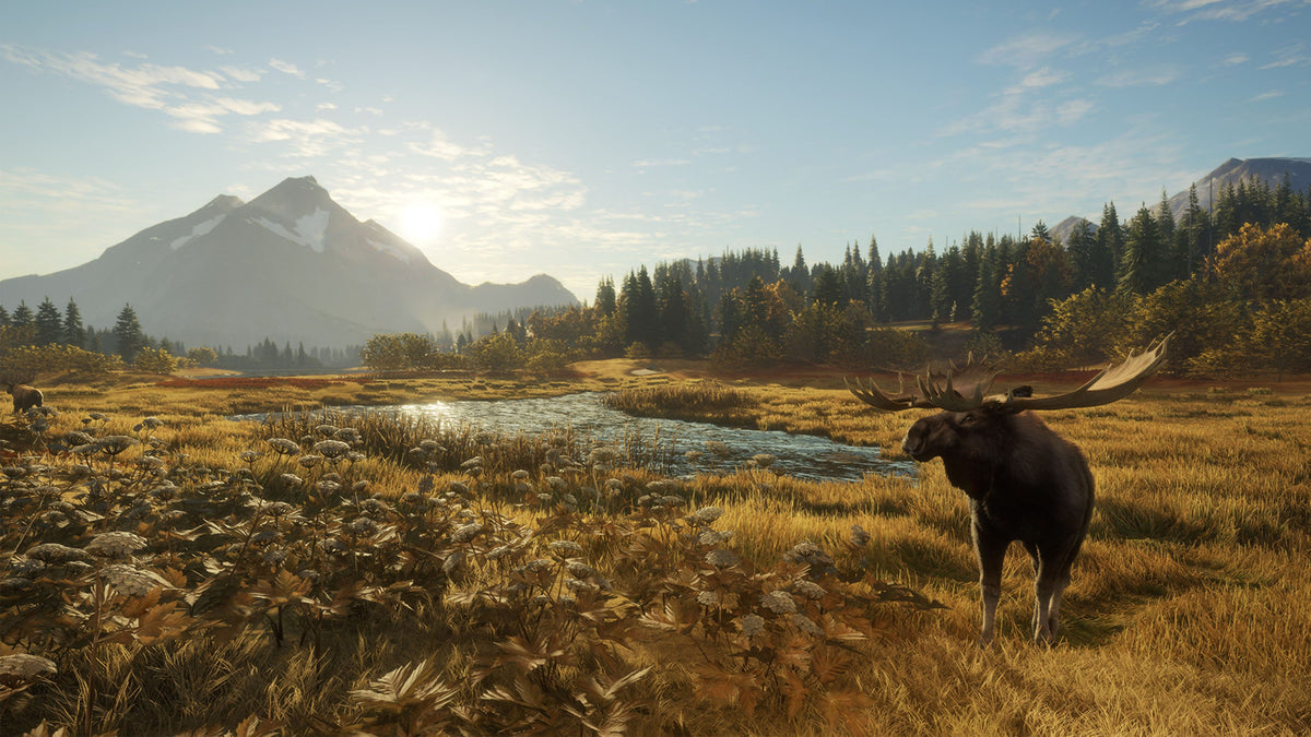 Thehunter: Call Of The Wild – Mídia Digital PS4