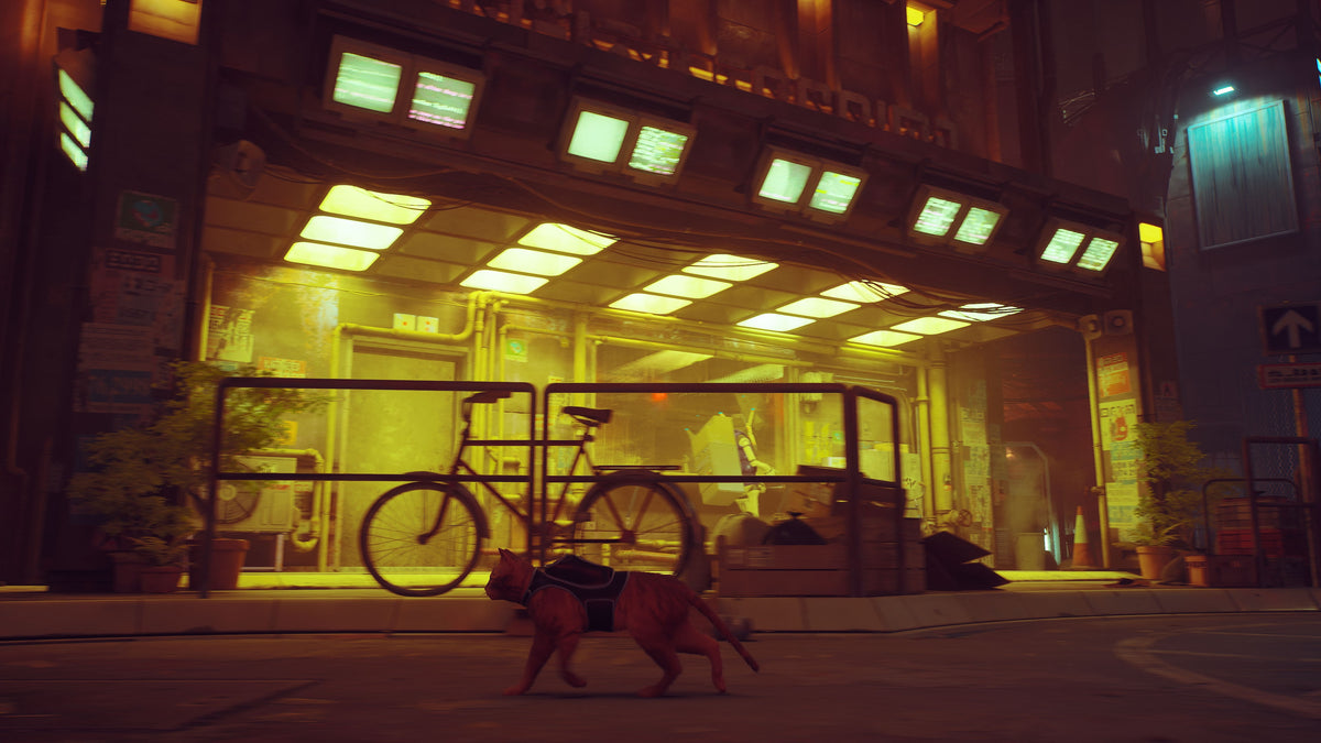 Stray – Mídia Digital PS5