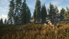 Thehunter: Call Of The Wild – Mídia Digital PS4