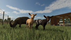 Farming Simulator 25 – Mídia Digital PS5