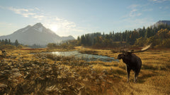 Thehunter: Call Of The Wild – Mídia Digital PS4