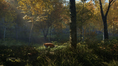Thehunter: Call Of The Wild – Mídia Digital PS4