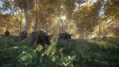 Thehunter: Call Of The Wild – Mídia Digital PS5