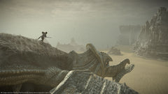 Shadow of the Colossus – Mídia Digital PS5