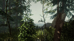 THE FOREST – Mídia Digital PS4