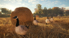 Thehunter: Call Of The Wild – Mídia Digital PS5