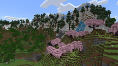 Minecraft – Mídia Digital PS5